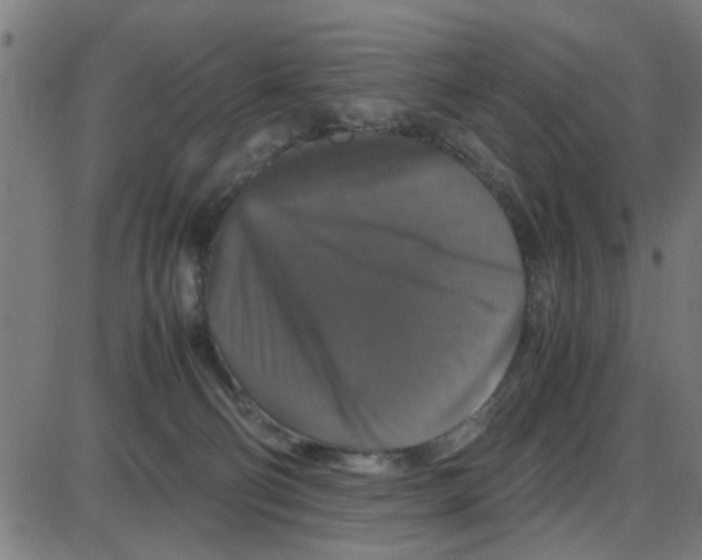 X0000087420130200705181432