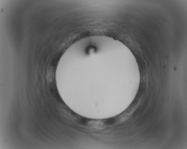 X0000087420133200705181432