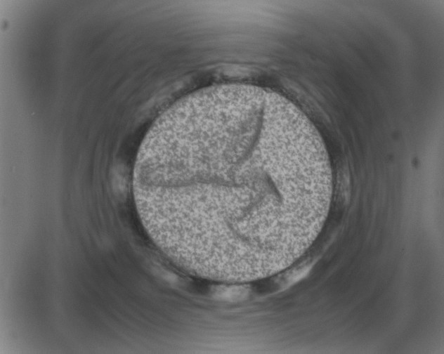 X0000087420135200705181432