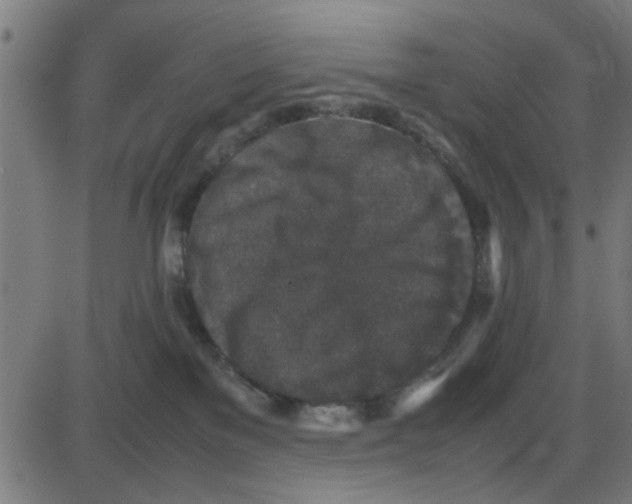 X0000087420137200705181432