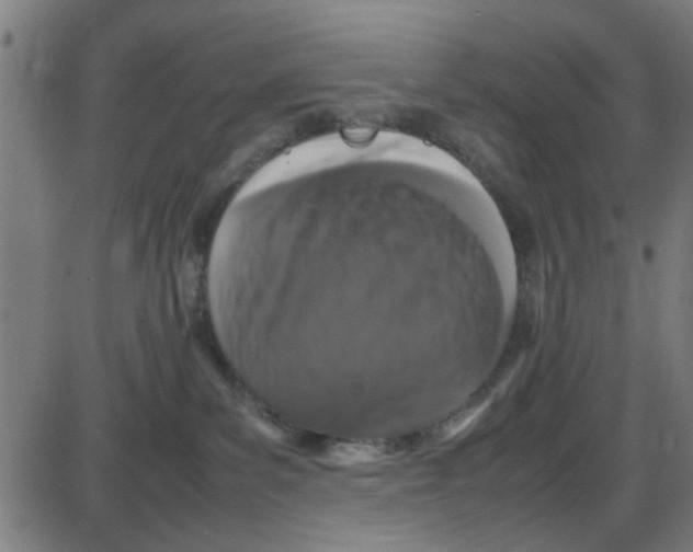 X0000087420139200705181432
