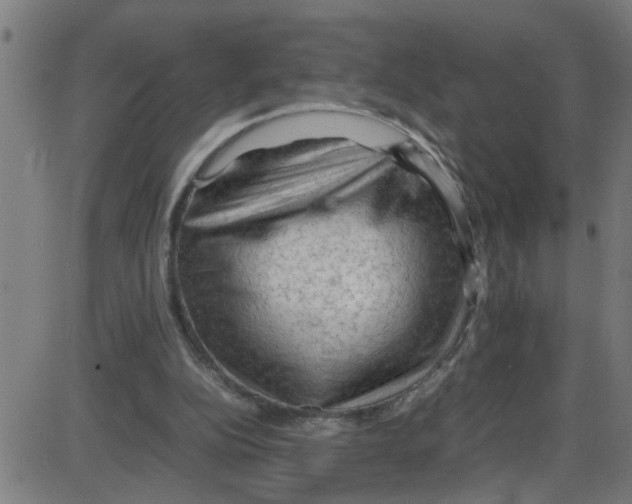 X0000087420152200705181431