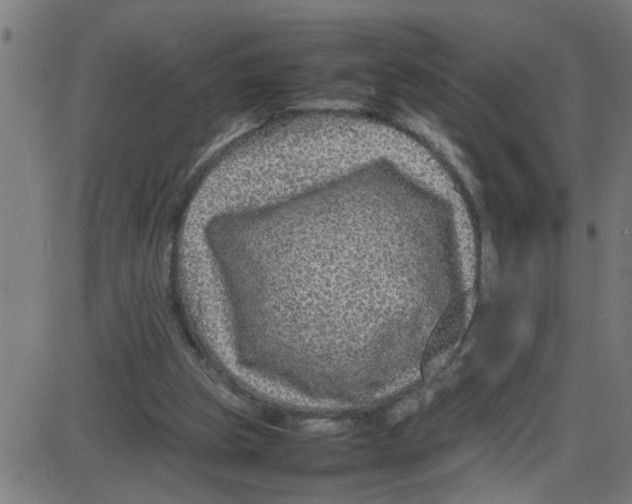 X0000087420153200705181431