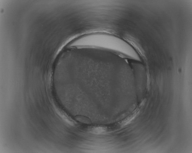 X0000087420156200705181431