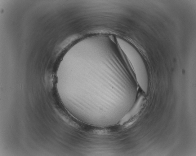 X0000087420160200705181431