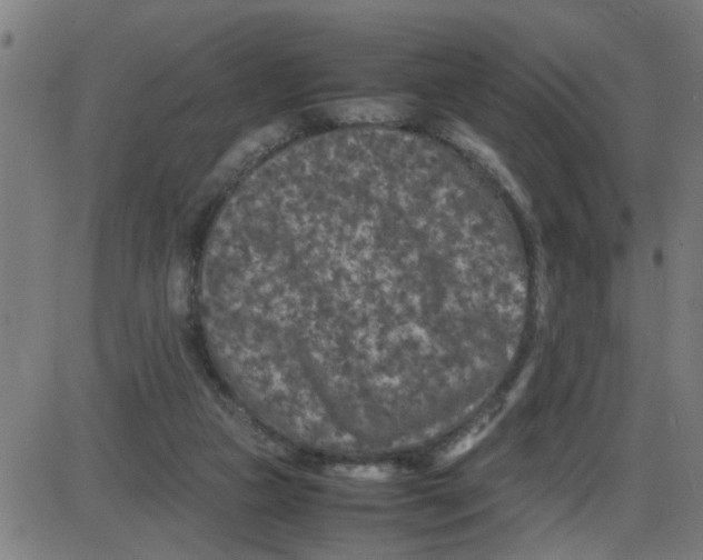 X0000087420161200705181431