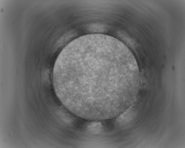 X0000087420162200705181431