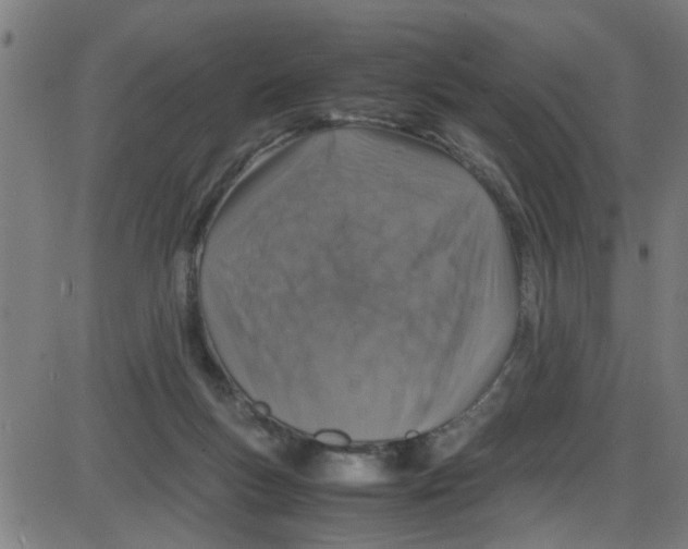 X0000087420167200705181431