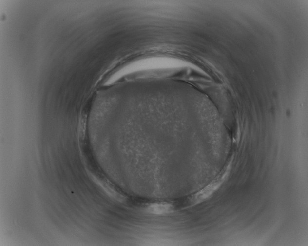 X0000087420168200705181431