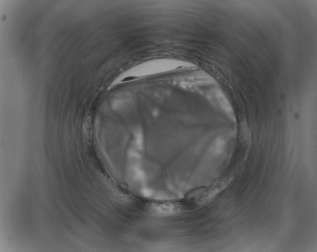 X0000087420181200705181432