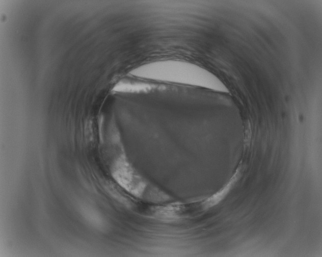 X0000087420182200705181432
