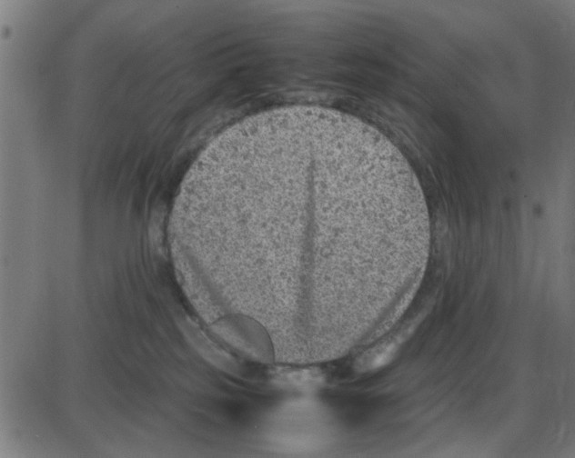 X0000087420185200705181432
