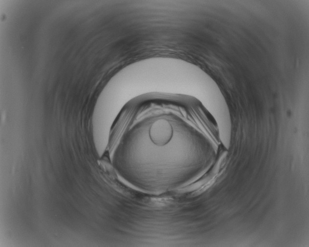 X0000087420188200705181432
