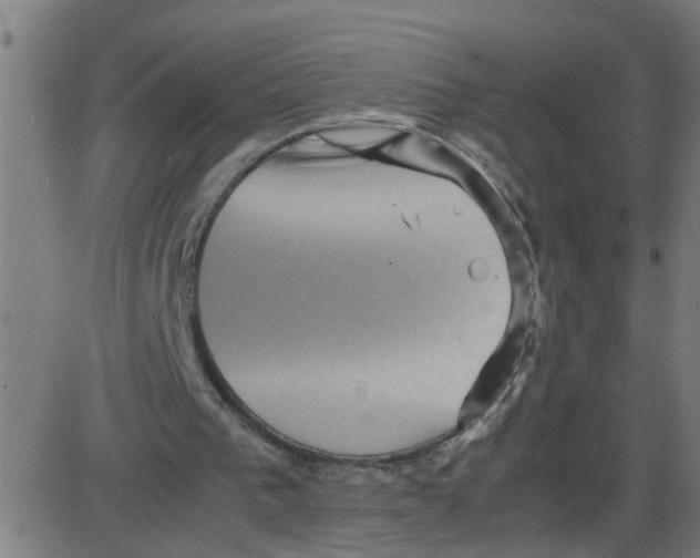 X0000087420193200705181431