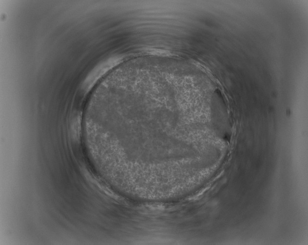 X0000087420194200705181431
