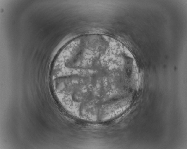 X0000087420195200705181431