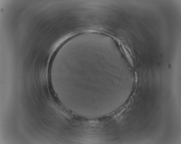 X0000087420196200705181431