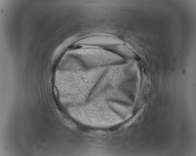 X0000087420197200705181431
