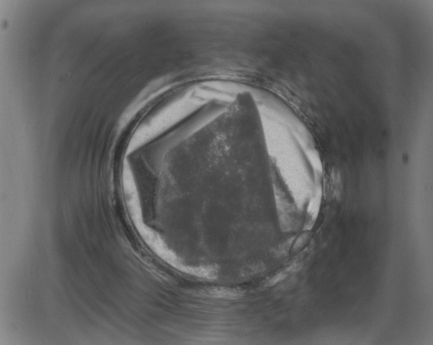 X0000087420198200705181431