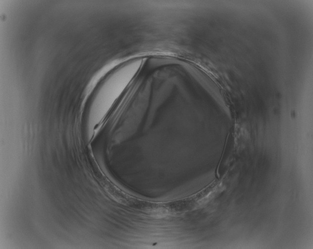 X0000087420200200705181431