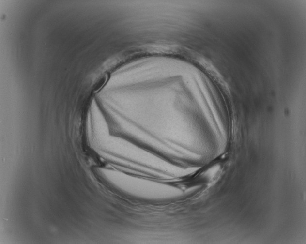 X0000087420201200705181431