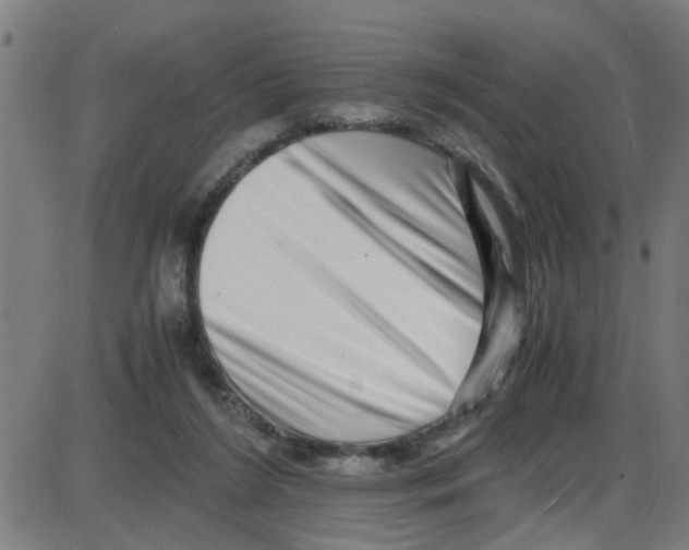 X0000087420212200705181431