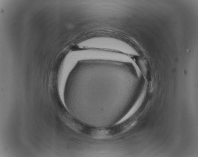 X0000087420217200705181431