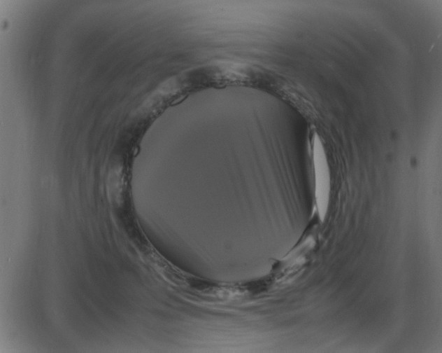 X0000087420223200705181431