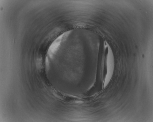 X0000087420224200705181431