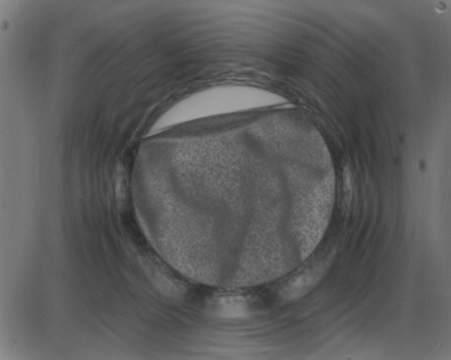 X0000087420228200705181430