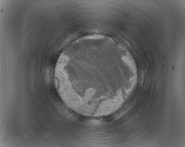 X0000087420236200705181430
