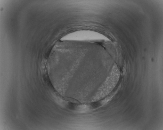 X0000087420237200705181430