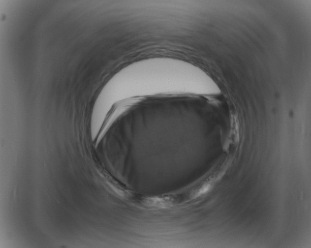 X0000087420239200705181430