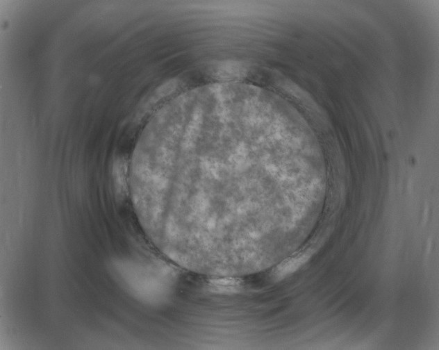 X0000087420240200705181430
