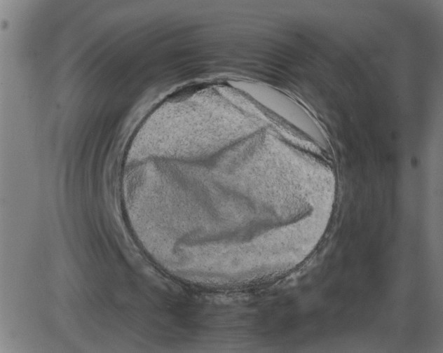 X0000087420241200705181429