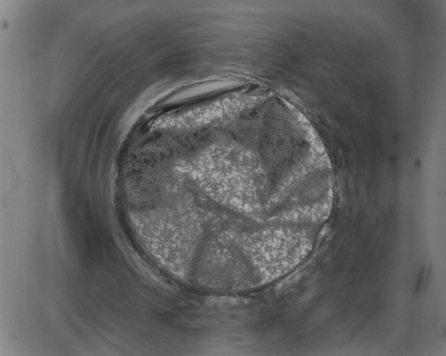 X0000087420242200705181430