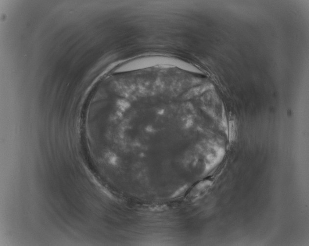 X0000087420243200705181430
