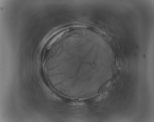 X0000087420247200705181430