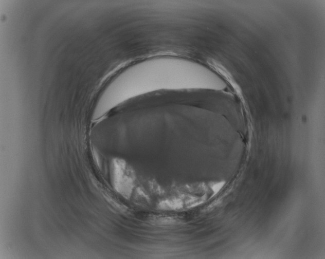 X0000087420249200705181430