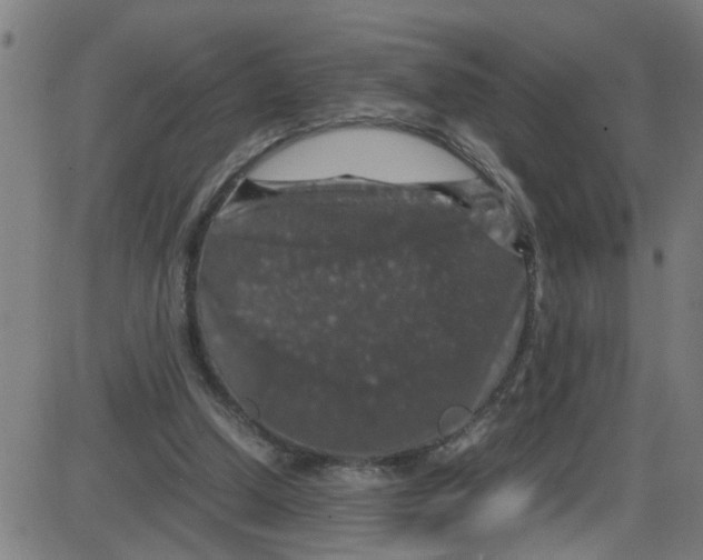 X0000087420250200705181430