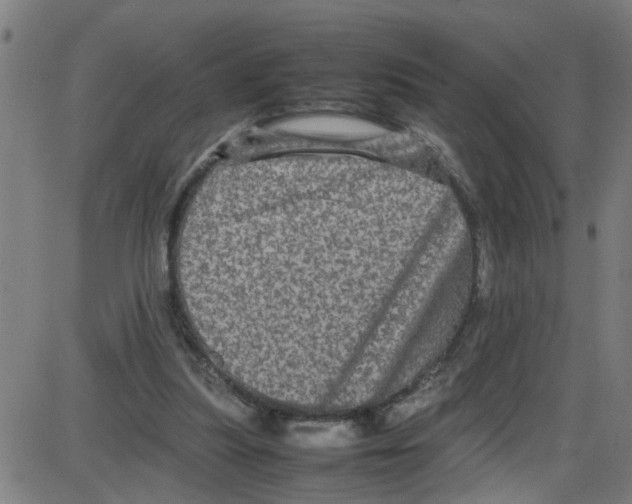 X0000087420251200705181430