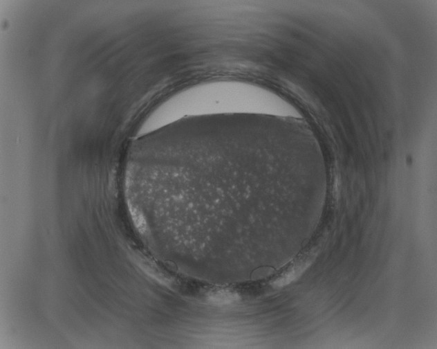 X0000087420258200705181430