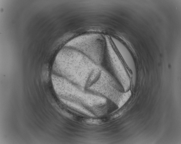 X0000087420261200705181430