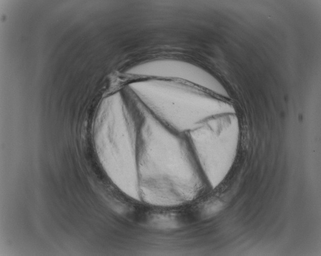 X0000087420263200705181430