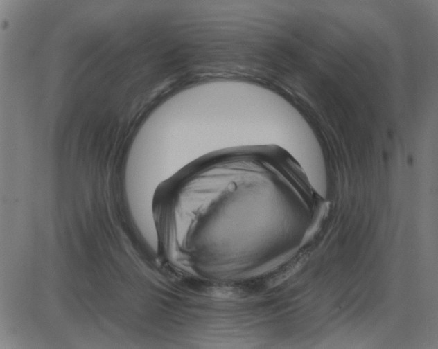 X0000087420264200705181430