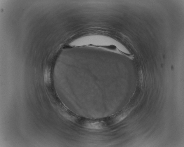 X0000087420267200705181430