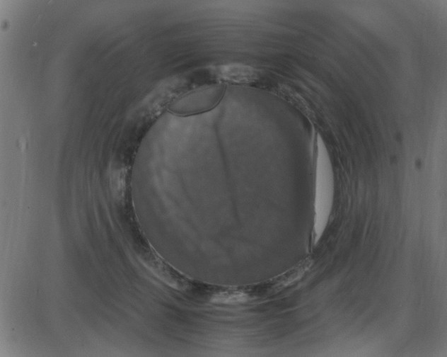 X0000087420271200705181430