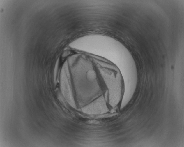 X0000087420272200705181430