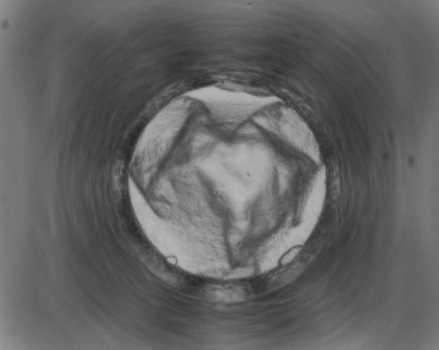 X0000087420275200705181430