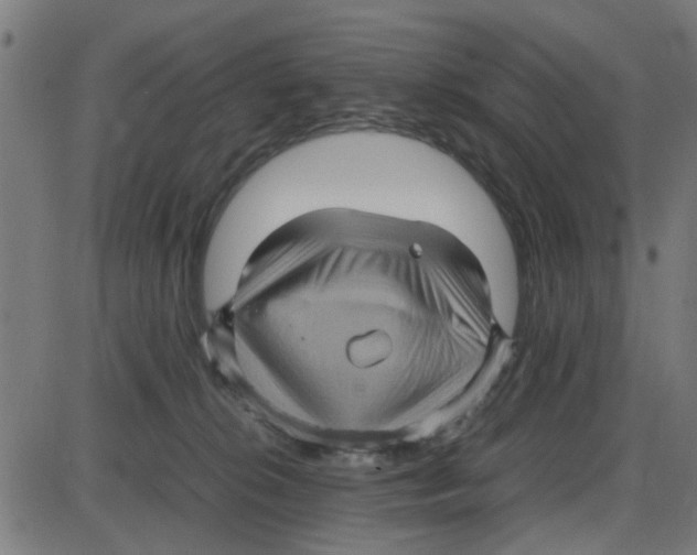 X0000087420276200705181430